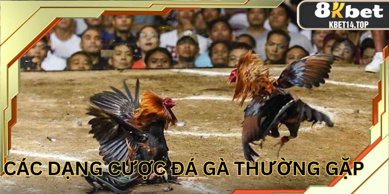 Các dạng odds thường gặp khi cá độ